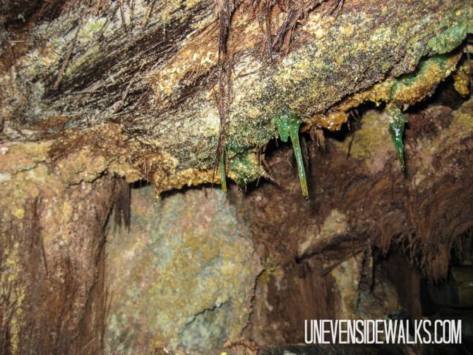 Minerals Growing on the Mine Ceiling